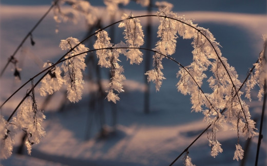470334 (a): :2560x1600